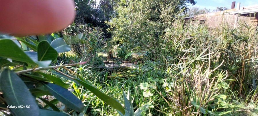 0 Bedroom Property for Sale in Bathurst Eastern Cape